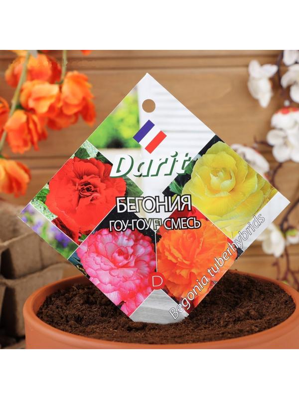 Семена цветов Бегония 