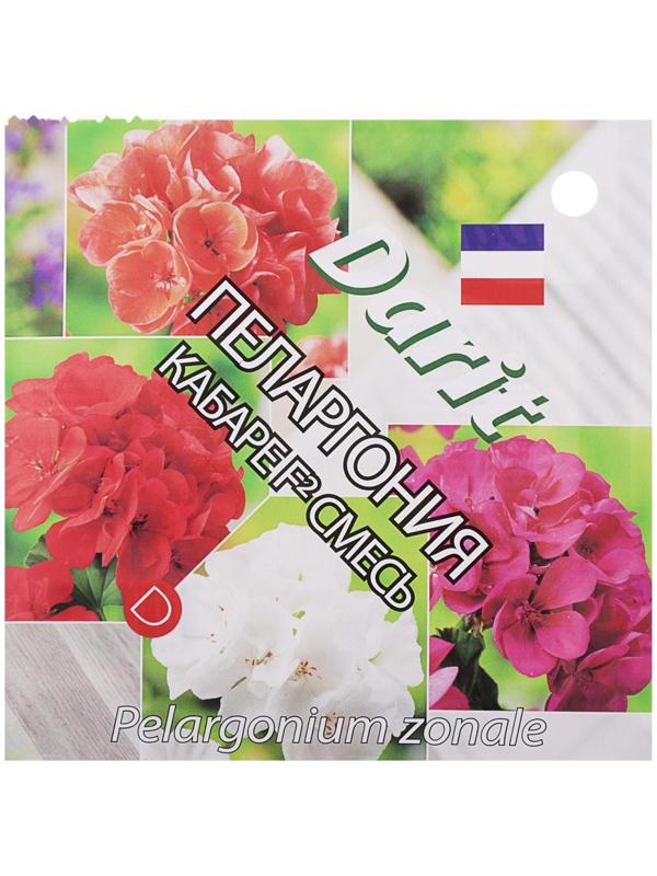 Семена цветов Пеларгония 