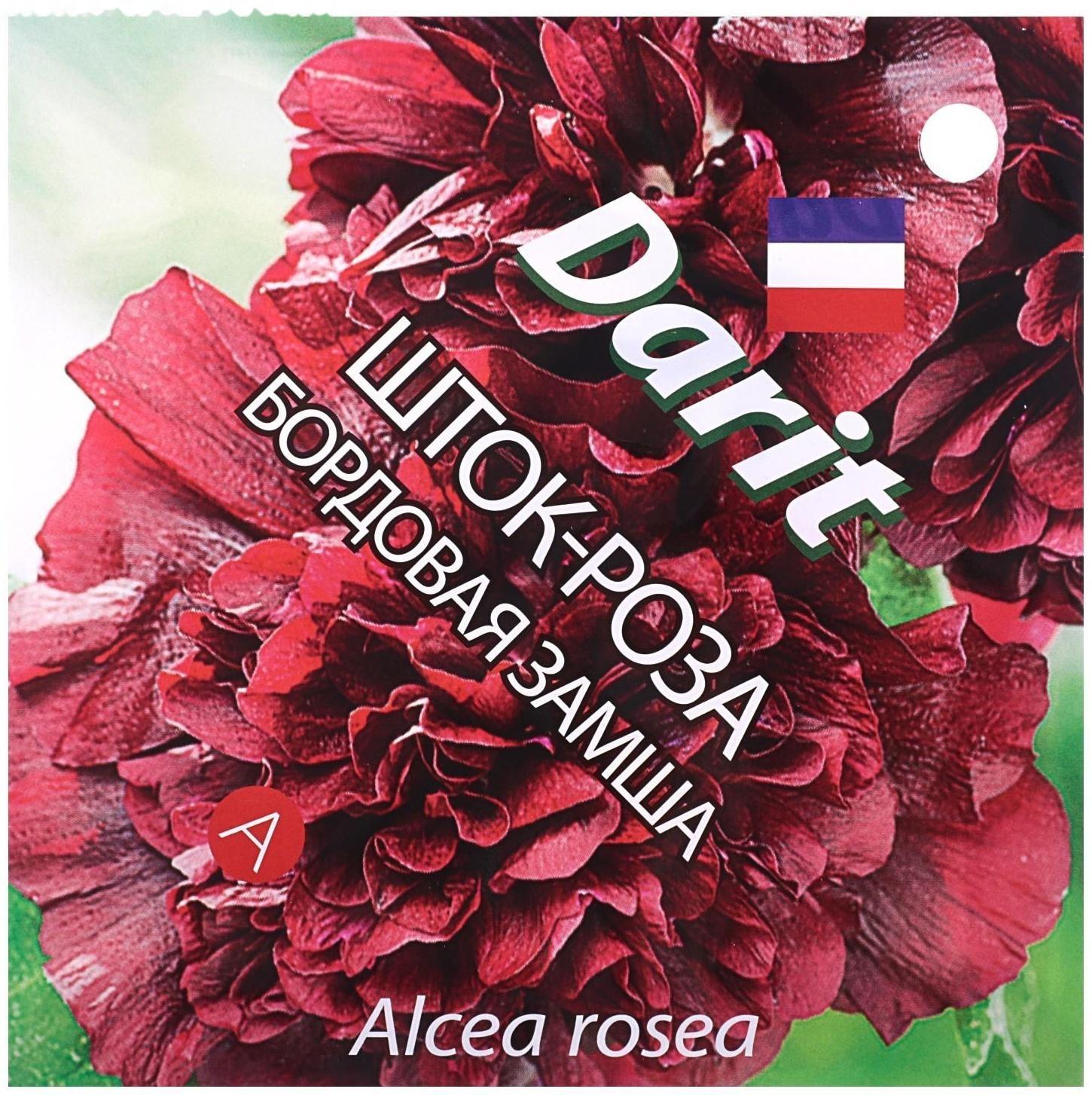 Семена цветов Шток роза 