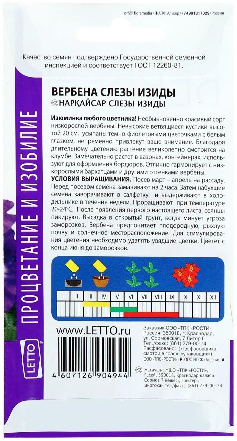 Семена цветов Вербена 