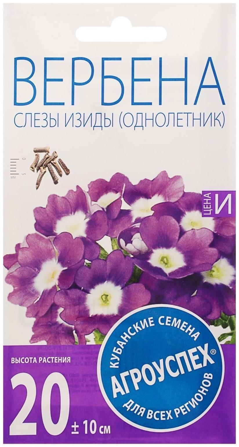 Семена цветов Вербена 