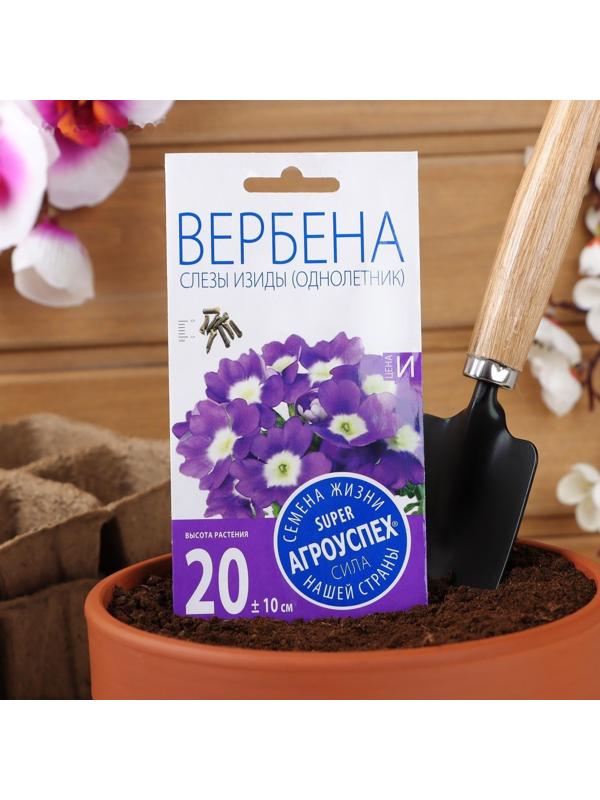Семена цветов Вербена 