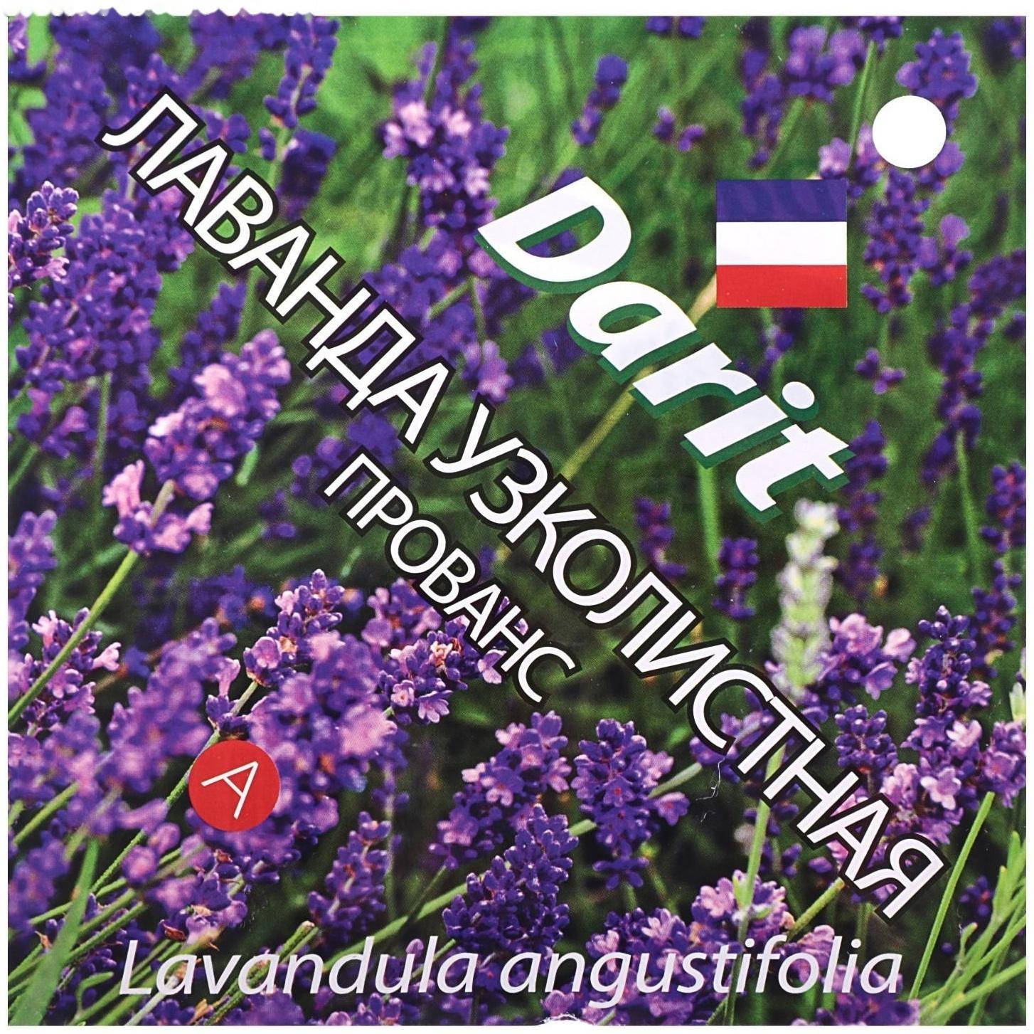 Семена цветов Лаванда узколистная 