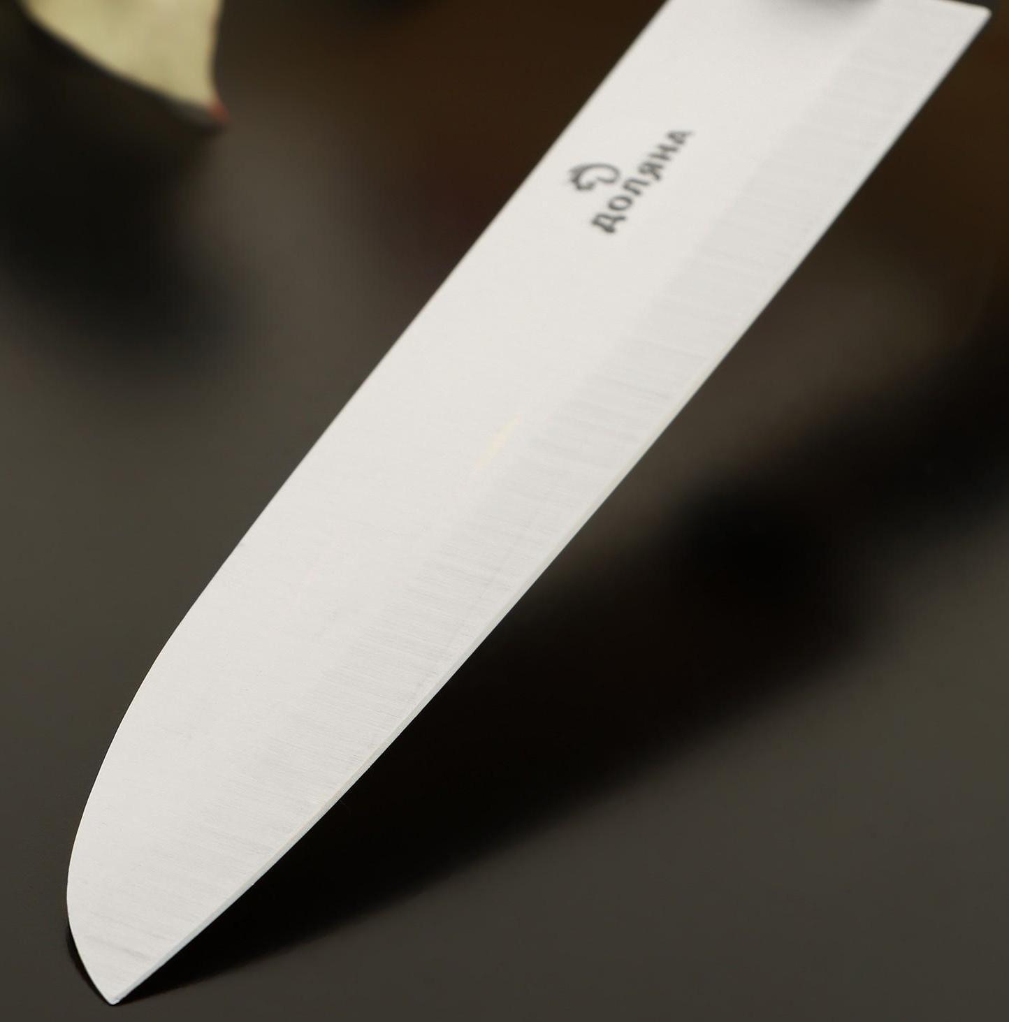 Нож кухонный «Кронос», лезвие 13,5 см