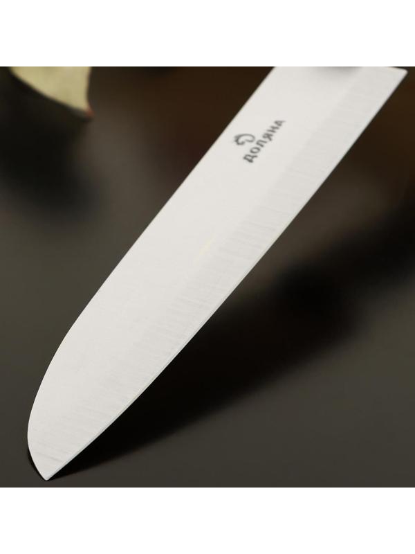 Нож кухонный «Кронос», лезвие 13,5 см