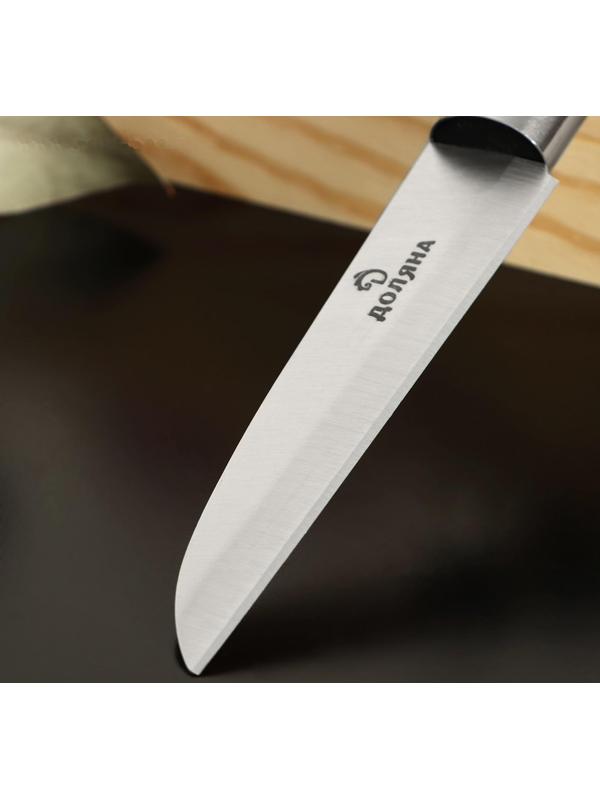 Нож кухонный «Кронос», лезвие 9 см