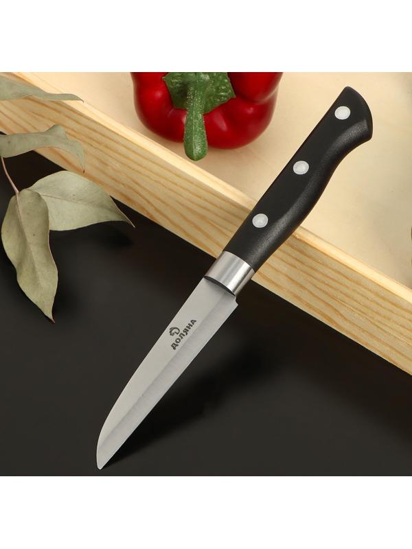 Нож кухонный «Кронос», лезвие 9 см