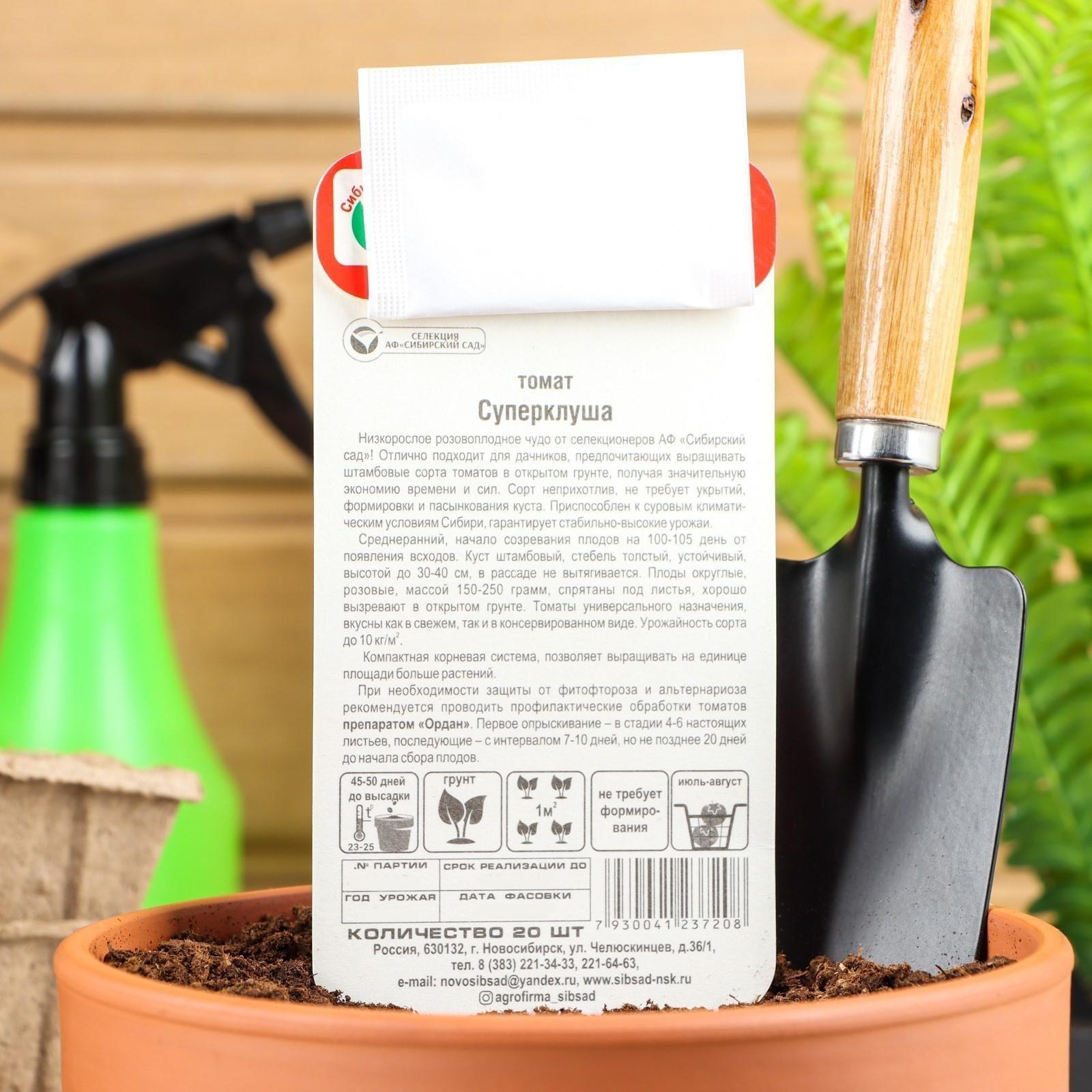 Семена Томат 