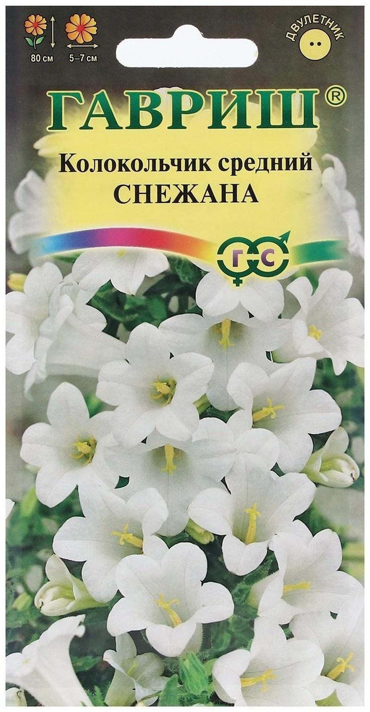 Семена цветов Колокольчик 