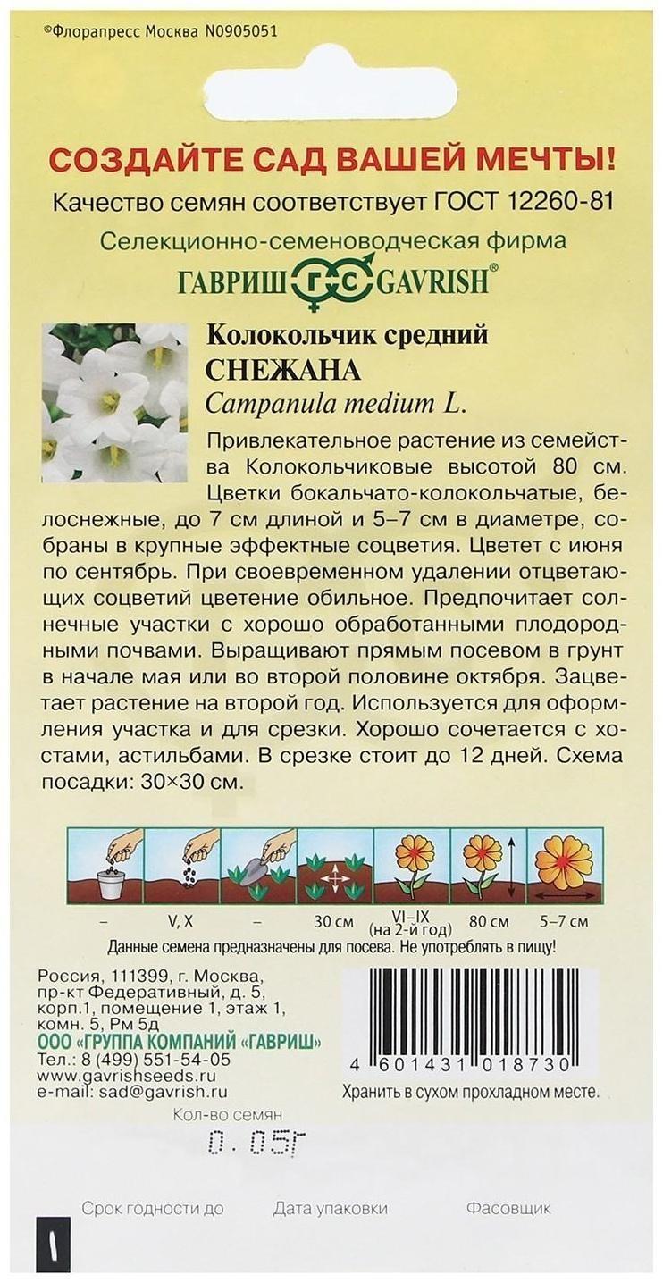 Семена цветов Колокольчик 