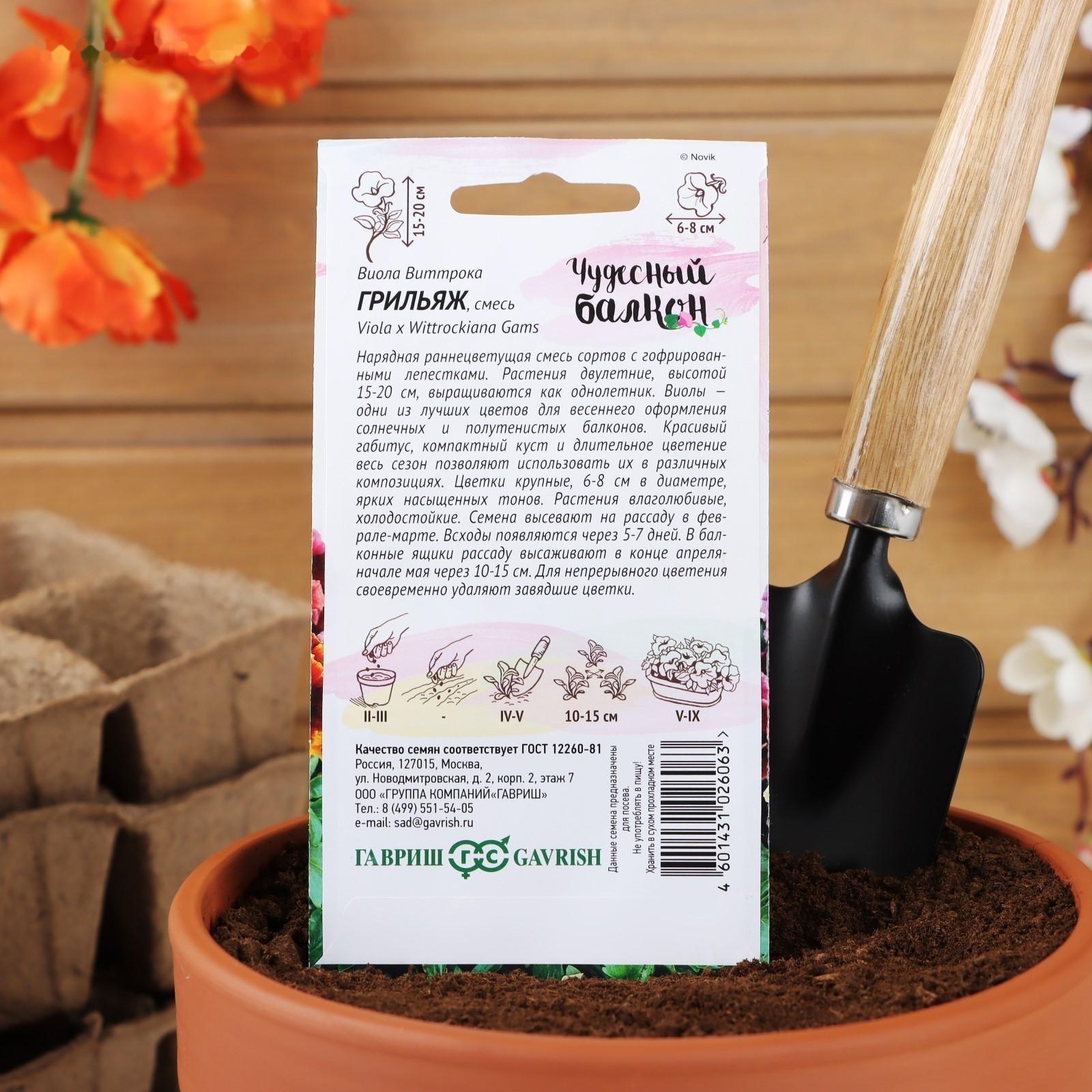 Семена цветов Виола 