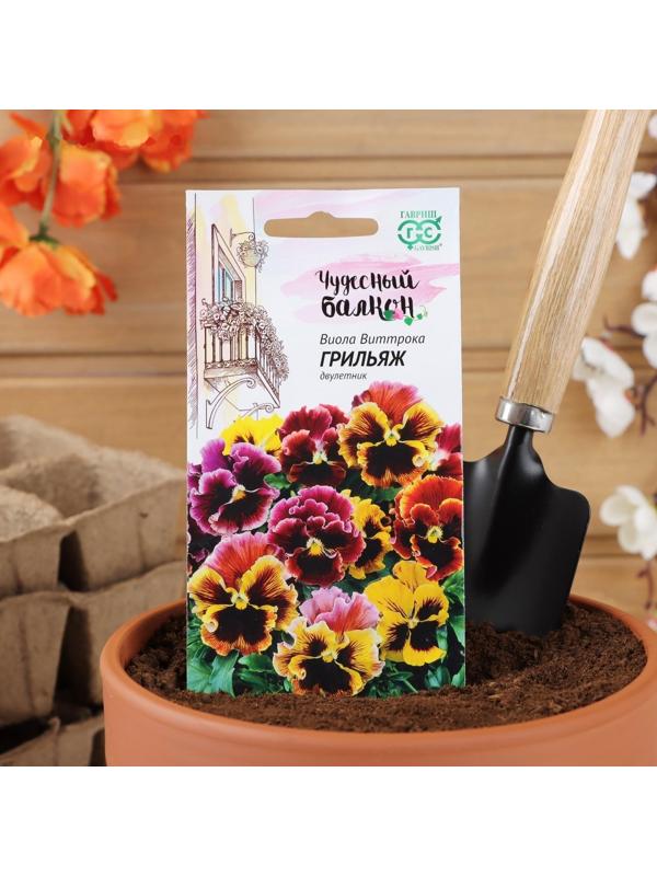 Семена цветов Виола 