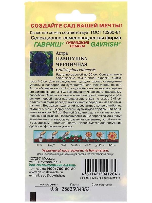 Семена цветов Астра Пампушка черничная, помпонная, О, 0,3 г