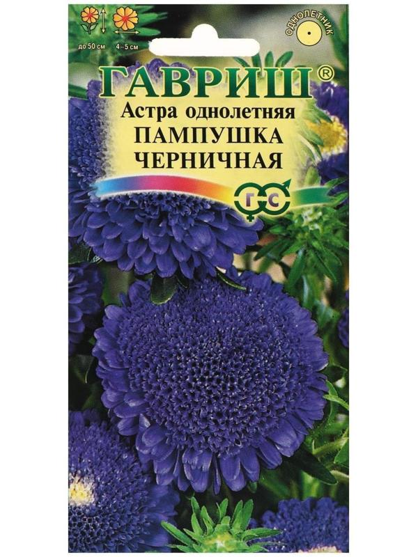 Семена цветов Астра Пампушка черничная, помпонная, О, 0,3 г