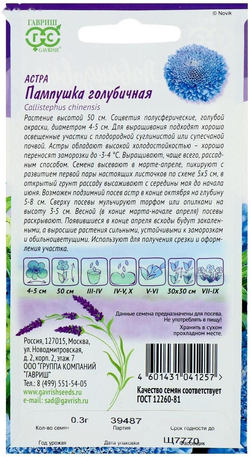 Семена цветов Астра Пампушка голубичная, помпонная, О, 0,3 г