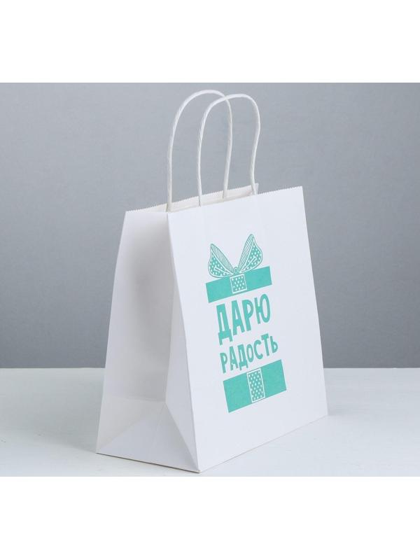 Пакет подарочный «Дарю радость», 22 × 22 × 11 см