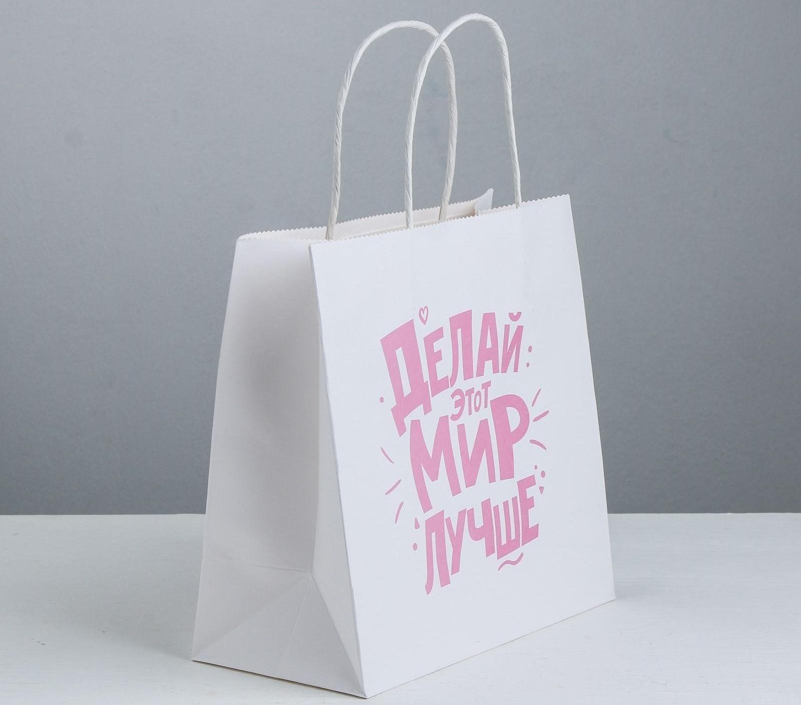 Пакет подарочный «Делай этот мир лучше», 22 × 22 × 11 см