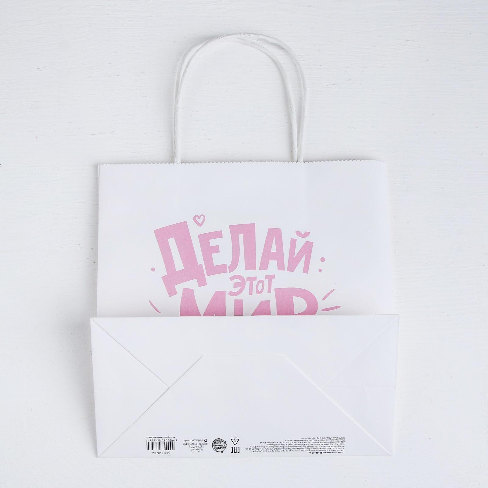Пакет подарочный «Делай этот мир лучше», 22 × 22 × 11 см