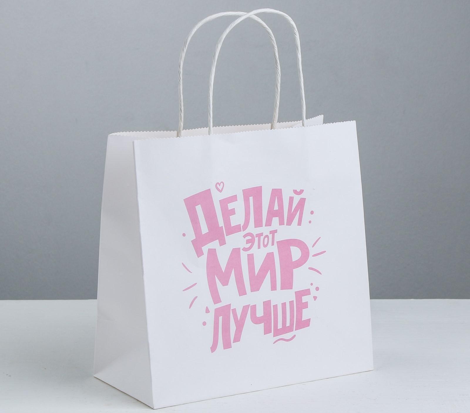 Пакет подарочный «Делай этот мир лучше», 22 × 22 × 11 см