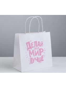 Пакет подарочный «Делай этот мир лучше», 22 × 22 × 11 см