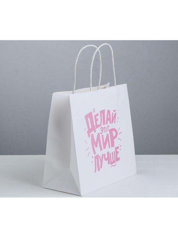 Пакет подарочный «Делай этот мир лучше», 22 × 22 × 11 см