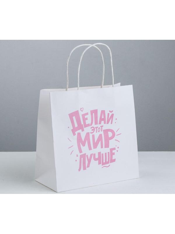 Пакет подарочный «Делай этот мир лучше», 22 × 22 × 11 см