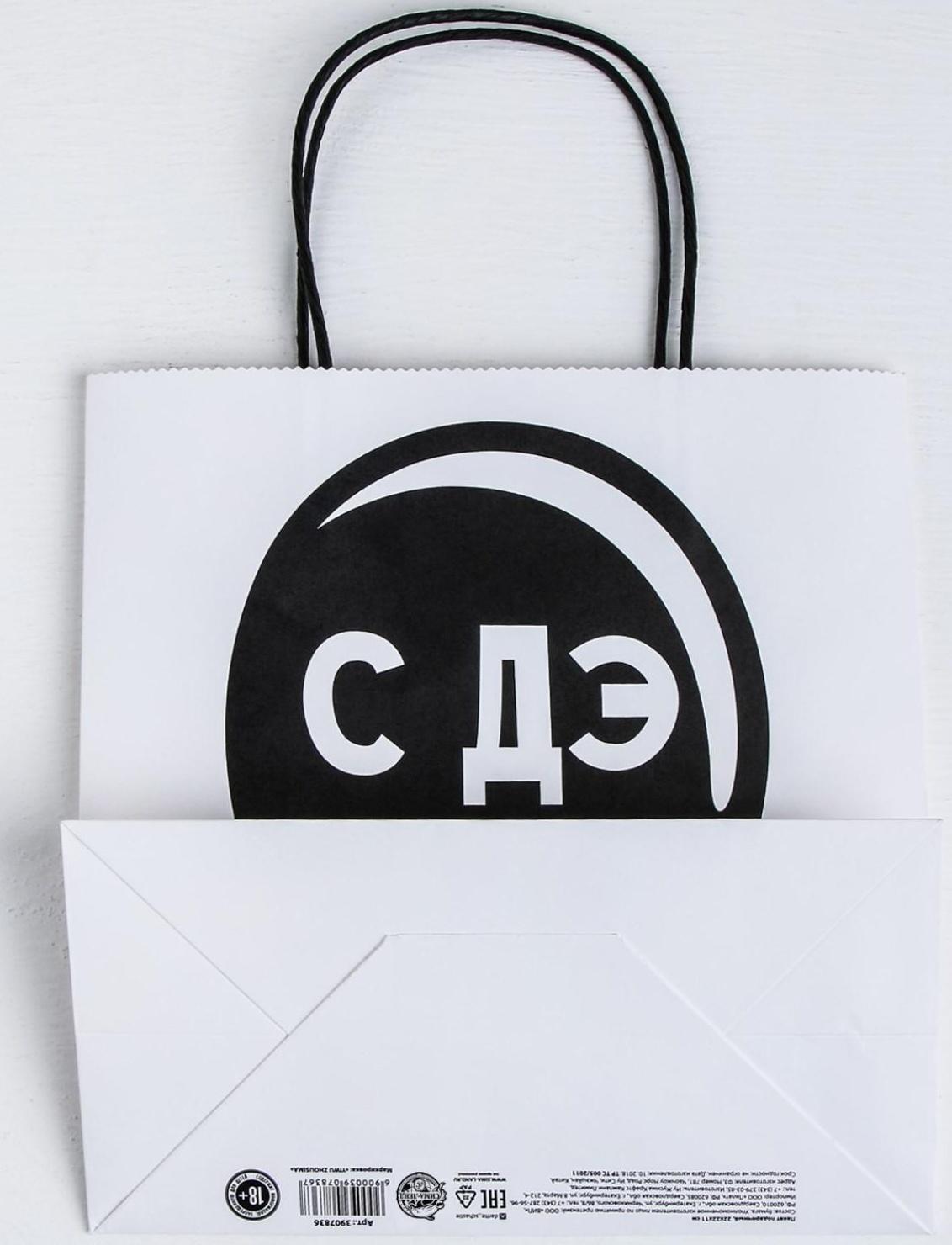 Пакет подарочный «С Дэ Рэ», 22 × 22 × 11 см