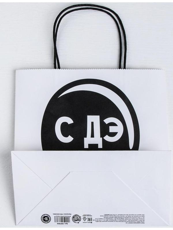 Пакет подарочный «С Дэ Рэ», 22 × 22 × 11 см