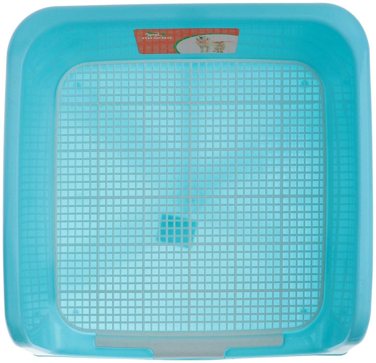 Туалет для собак с высокими бортами и съемной сеткой 42х41х16 см, голубой