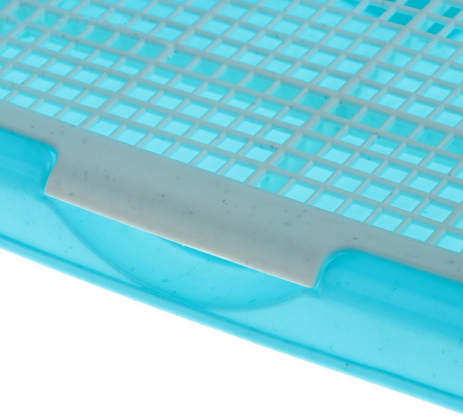 Туалет для собак с высокими бортами и съемной сеткой 42х41х16 см, голубой