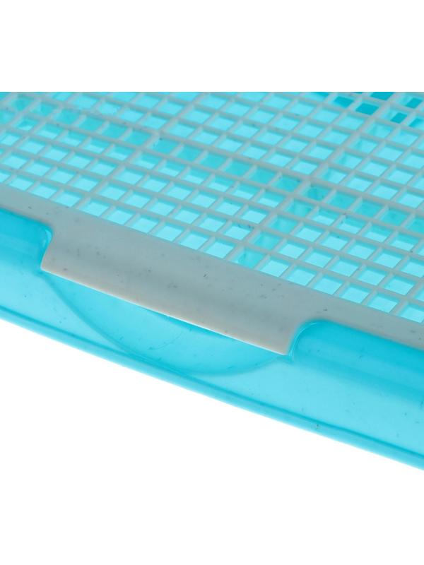 Туалет для собак с высокими бортами и съемной сеткой 42х41х16 см, голубой