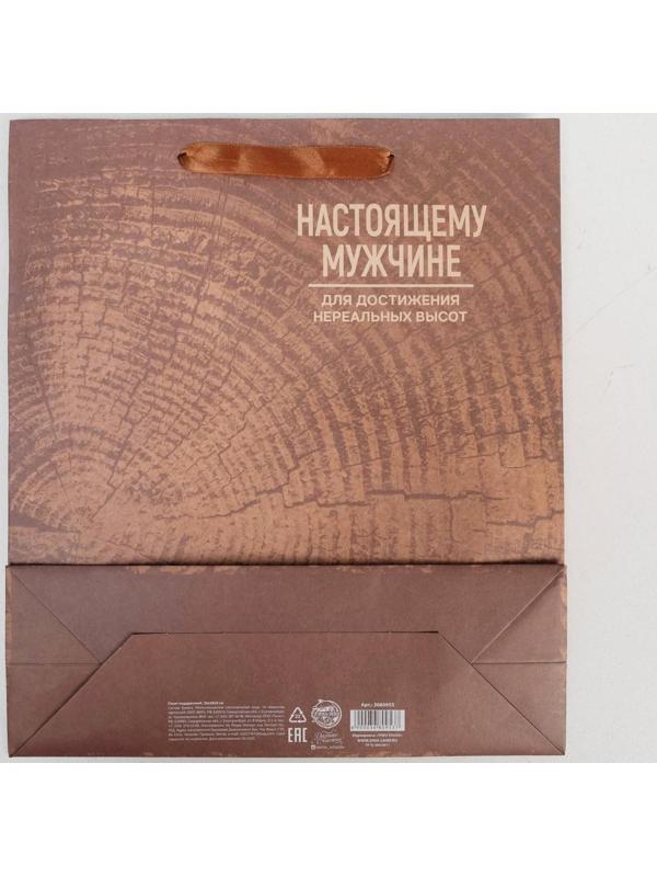 Пакет крафтовый вертикальный «Нереальных высот», M 26 × 30 × 9 см