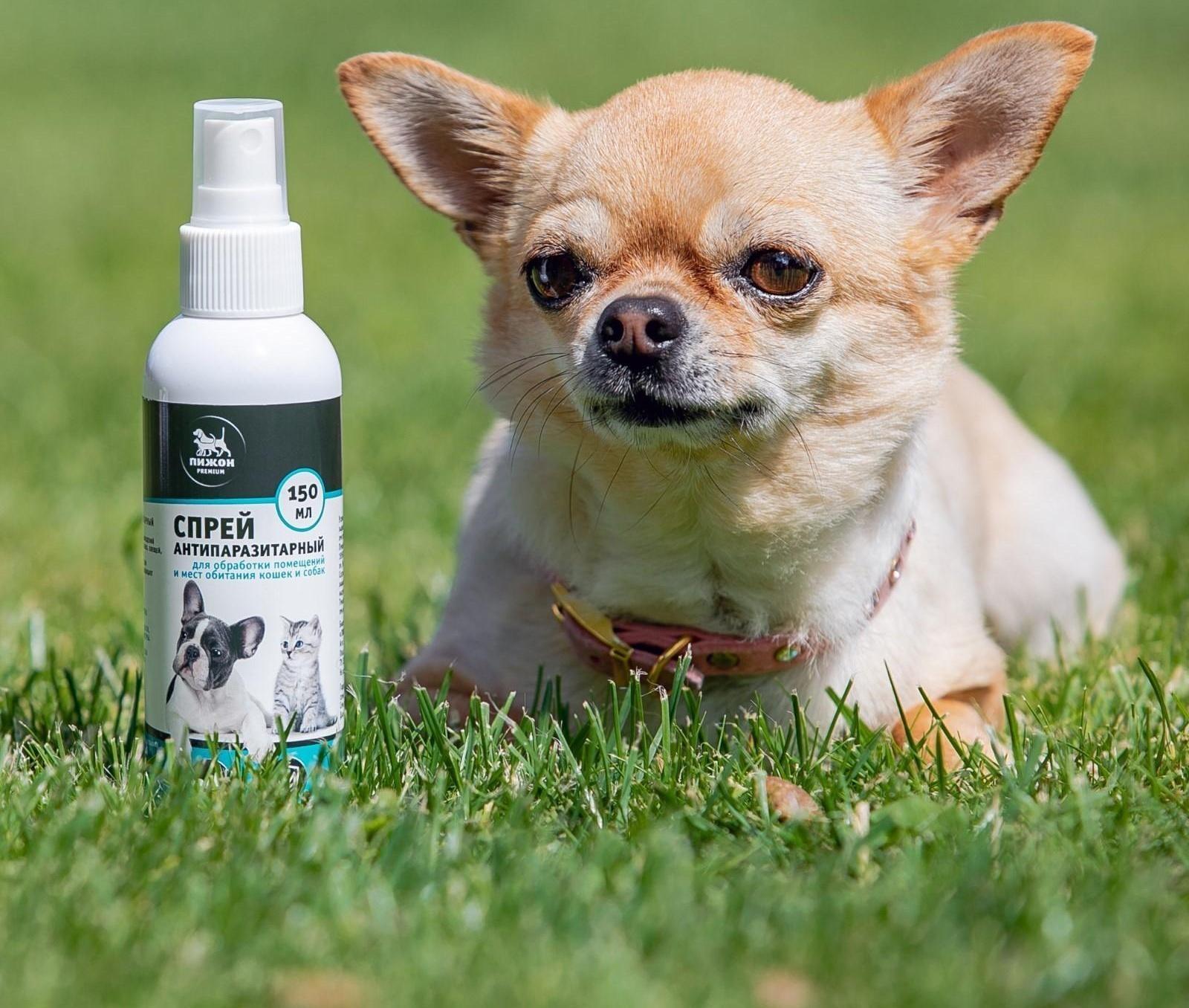 Биоспрей антипаразитарный «Пижон Premium» для обработки помещений и мест обитания, 150 мл