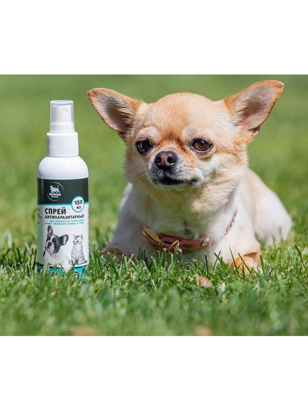 Биоспрей антипаразитарный «Пижон Premium» для обработки помещений и мест обитания, 150 мл