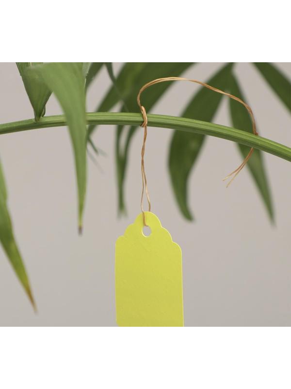 Бирки садовые для маркировки, 4,5 × 3 см, набор 20 шт., пластик, МИКС, Greengo