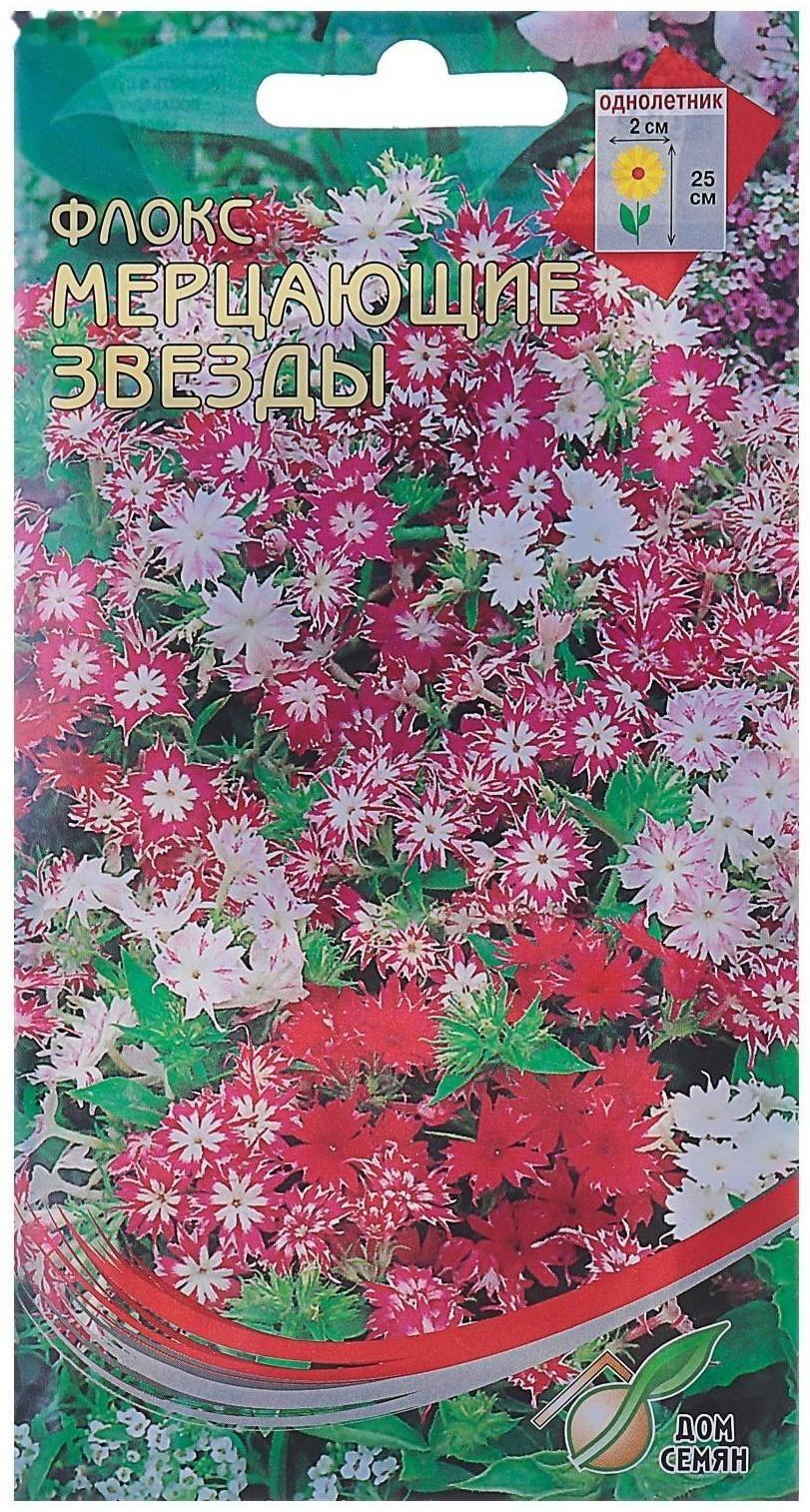 Семена цветов Флокс 