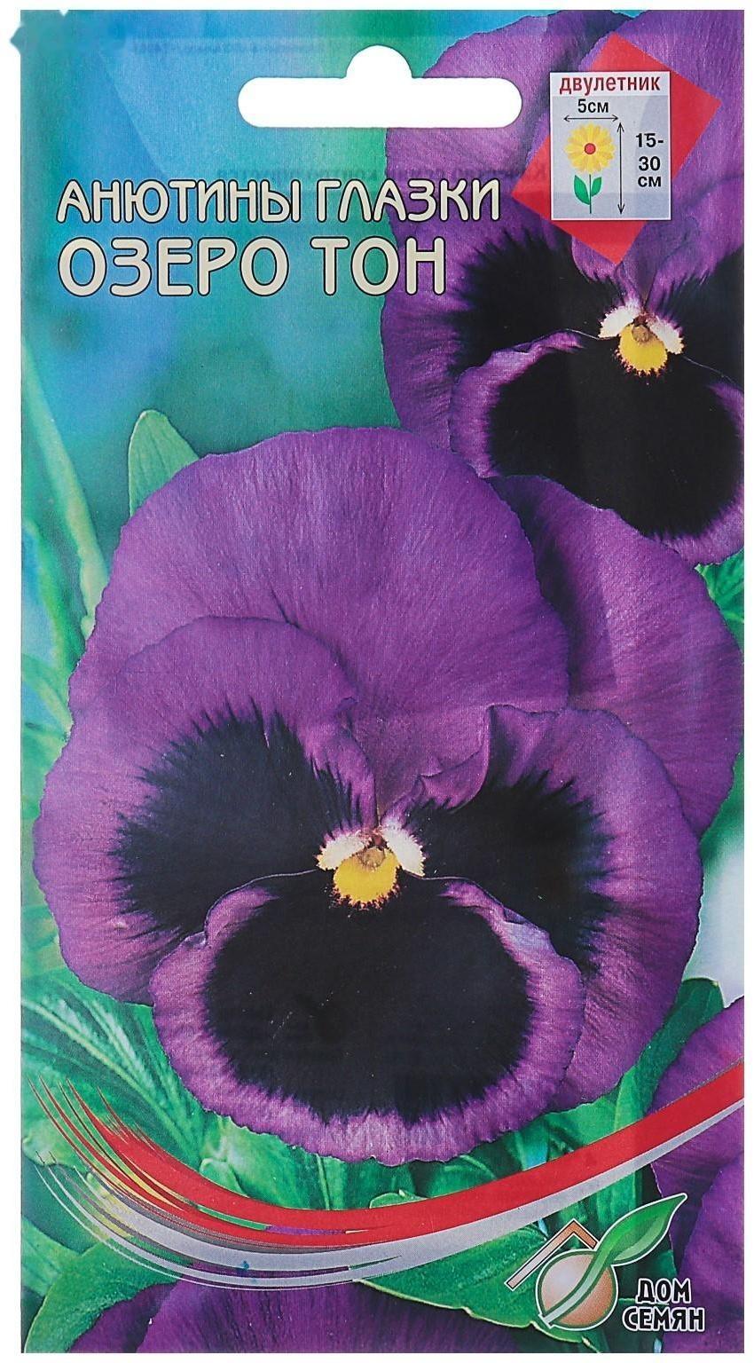 Семена цветов Анютины глазки 