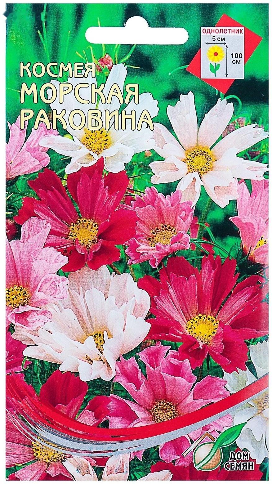 Семена цветов Космея 