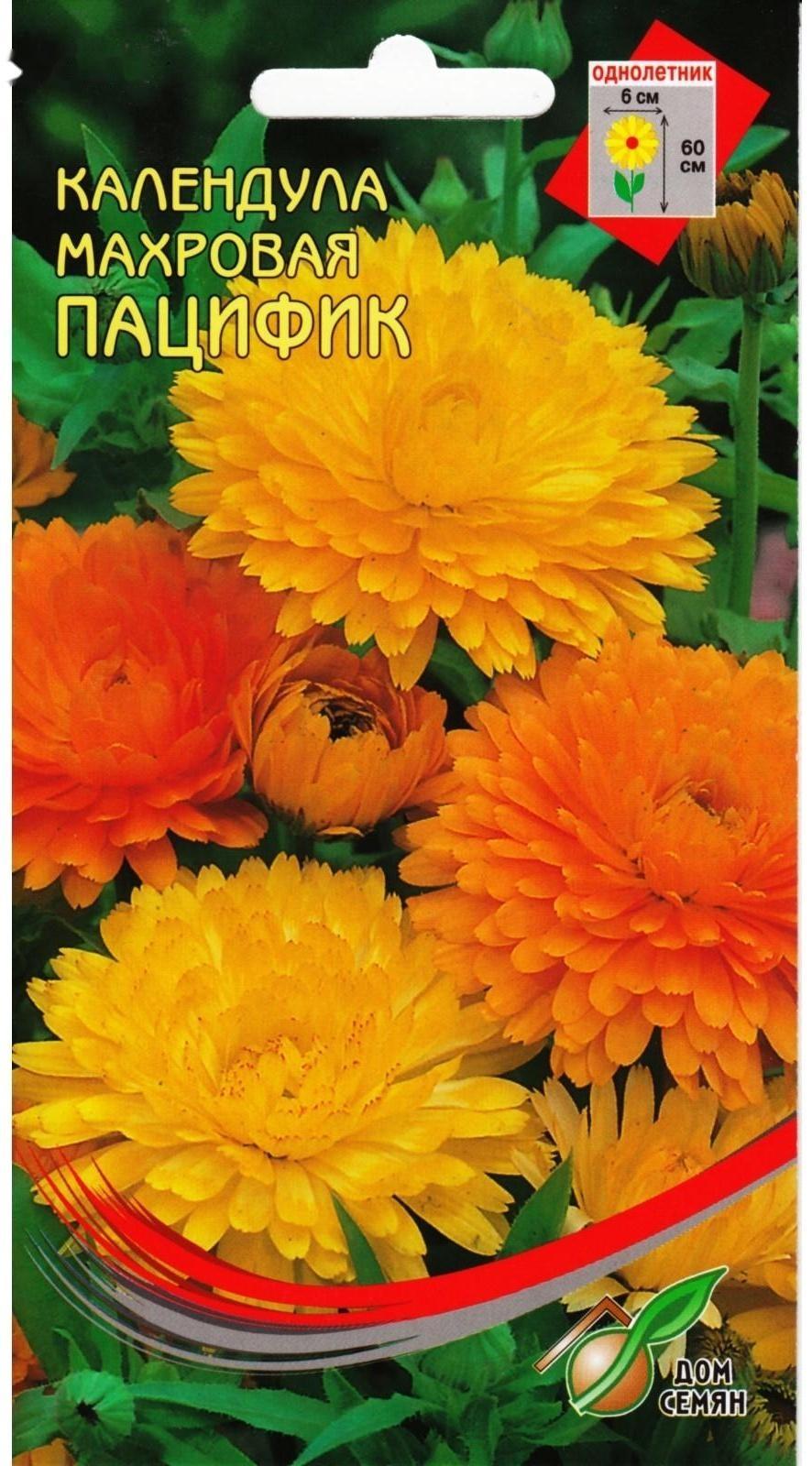 Семена цветов Календула 