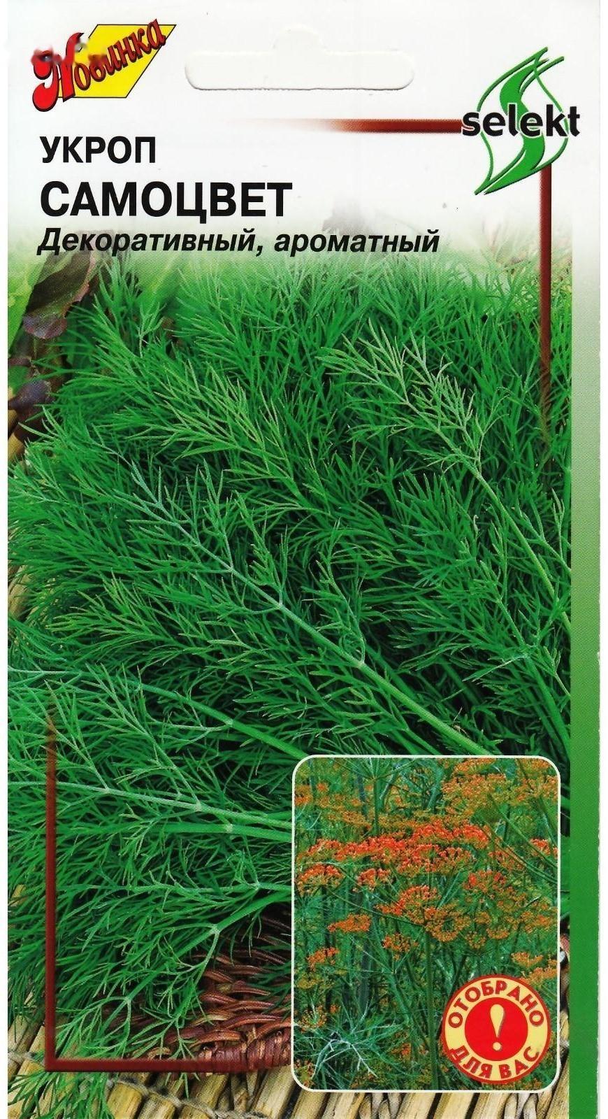 Семена Укроп 