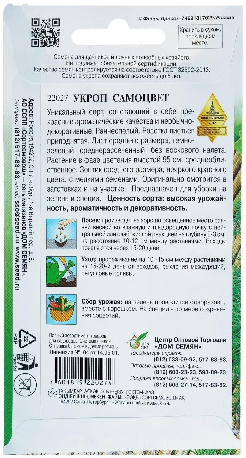 Семена Укроп 