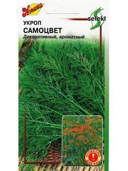 Семена Укроп 