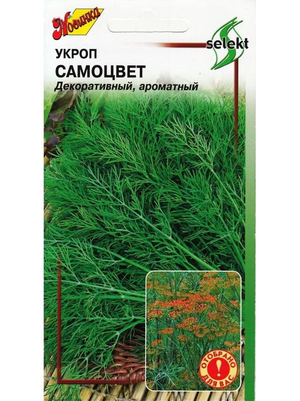 Семена Укроп 