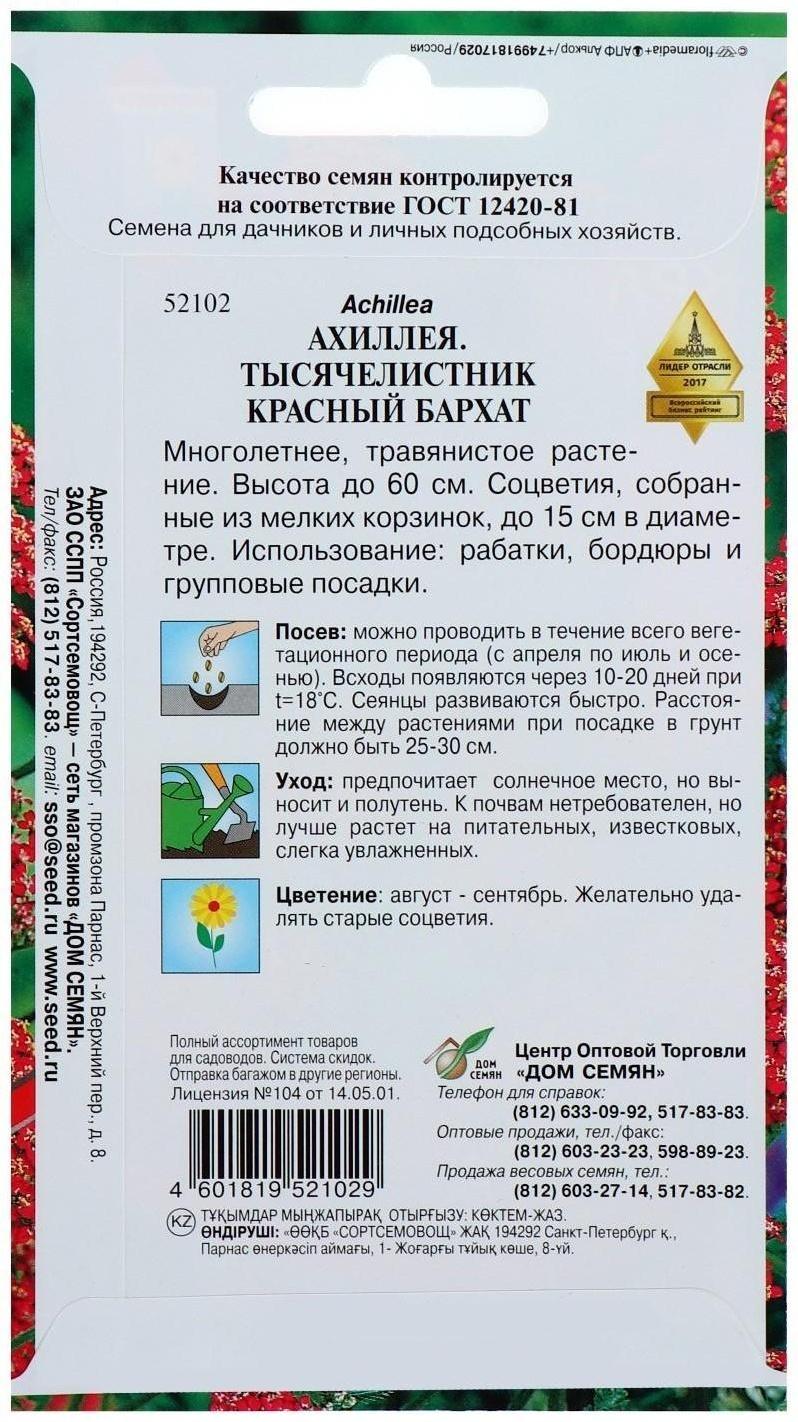 Семена цветов Тысячелистник 