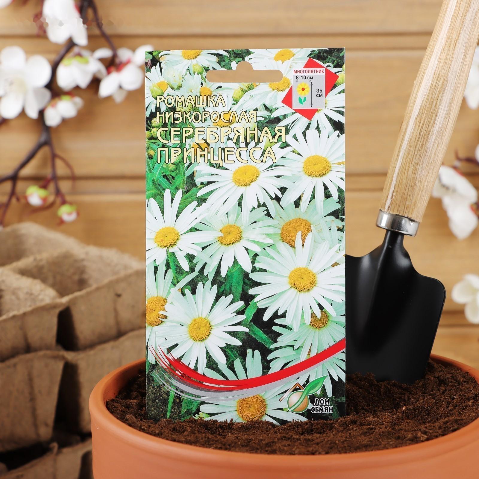 Семена цветов Ромашка 