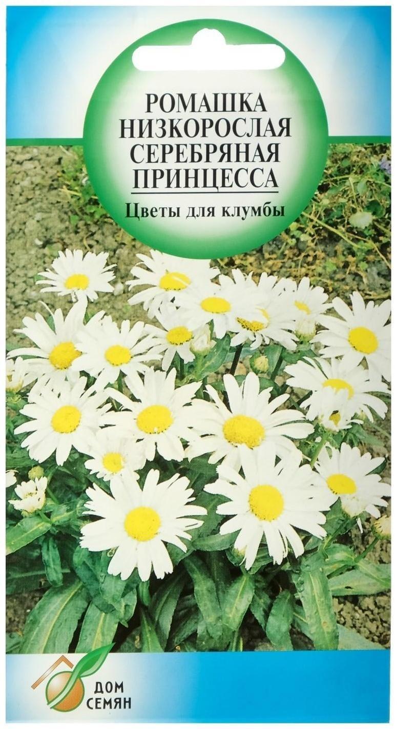 Семена цветов Ромашка 