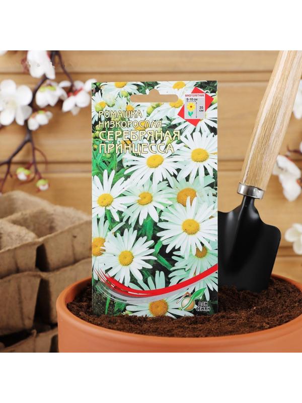 Семена цветов Ромашка 