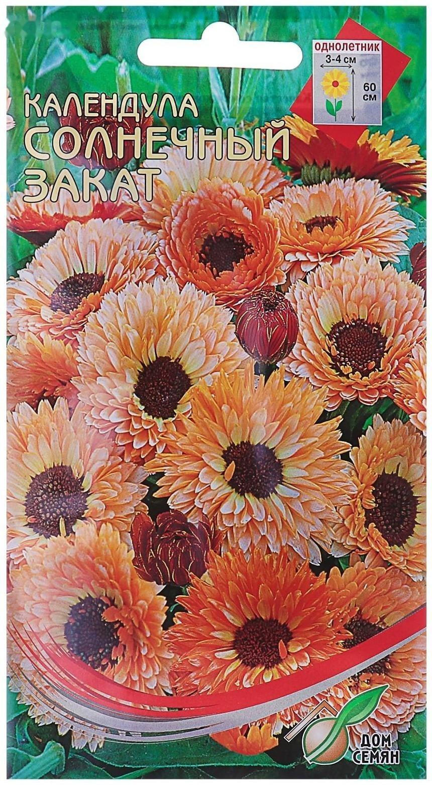 Семена цветов Календула 