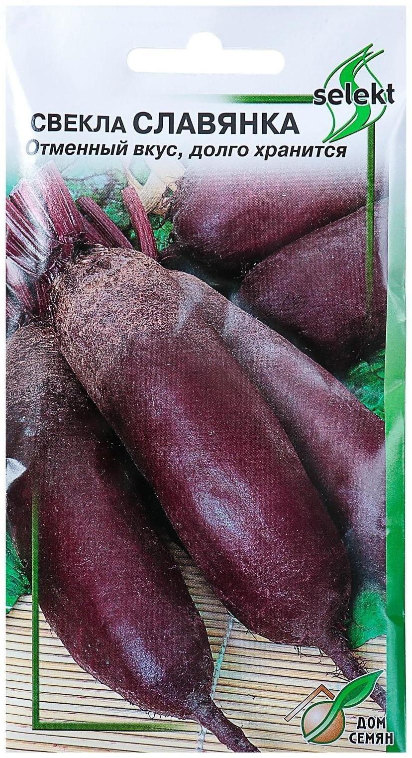 Семена Свекла 