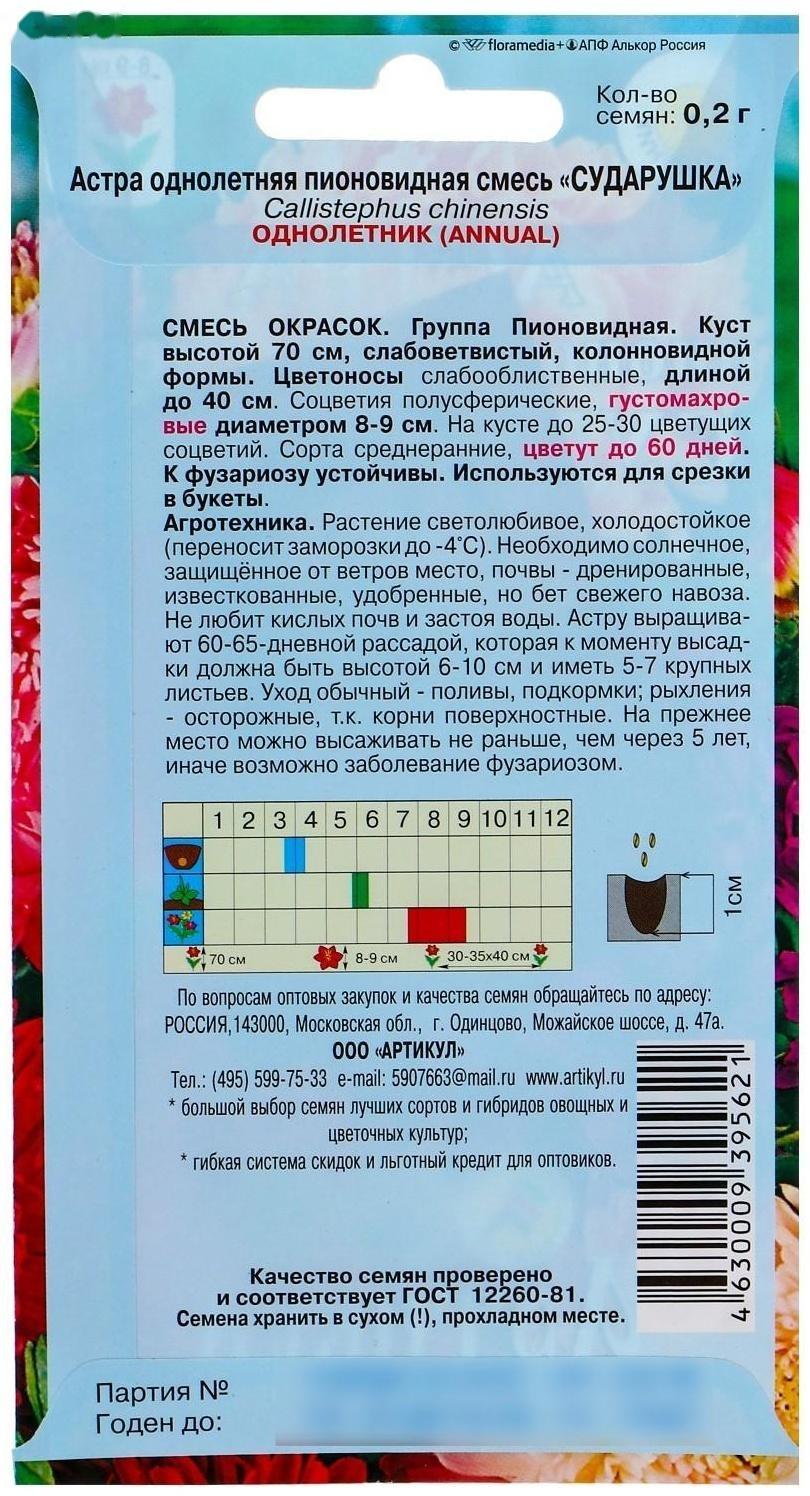 Семена цветов Астра «Сударушка», О, 0,2 г.